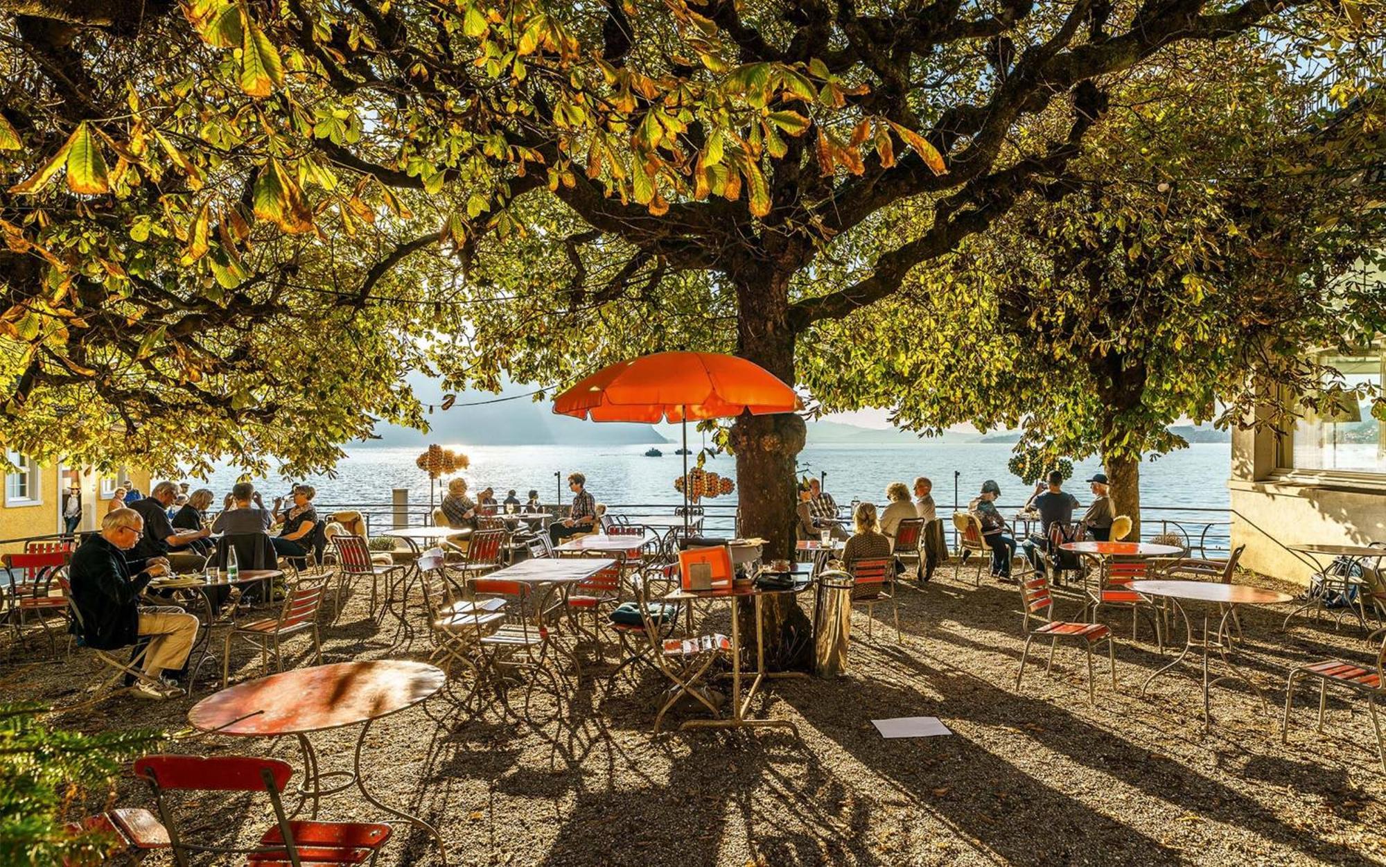 Hotel Terrasse Am See Vitznau Ngoại thất bức ảnh